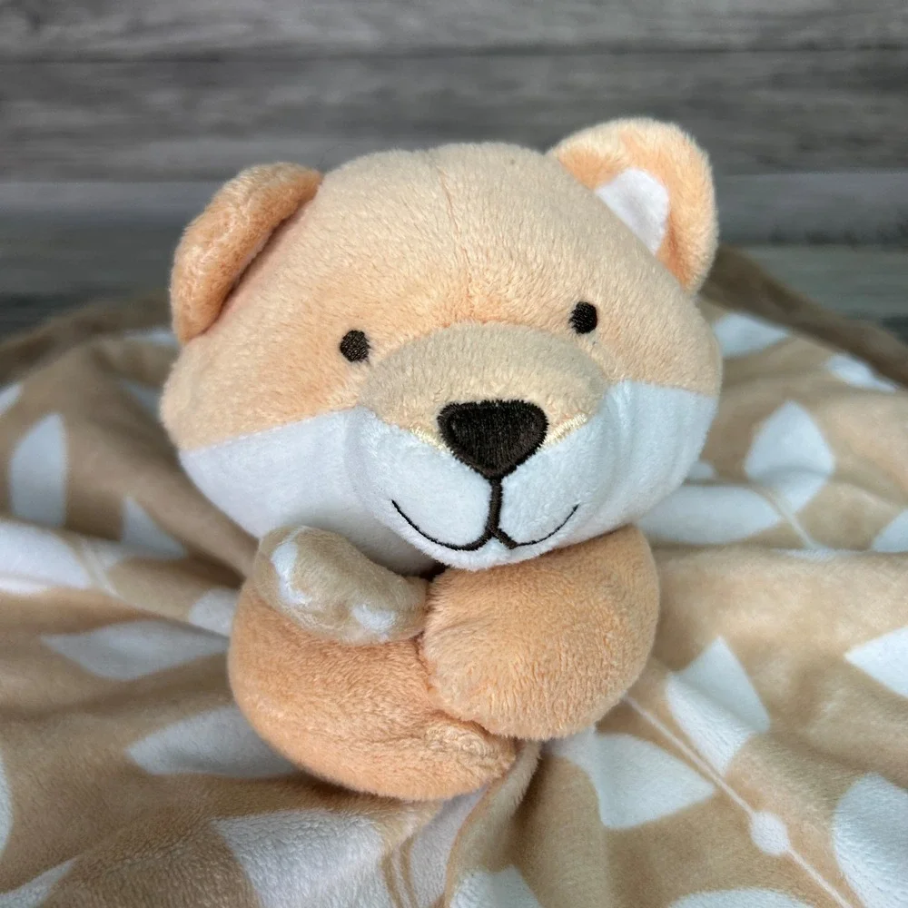 Carters carters fox